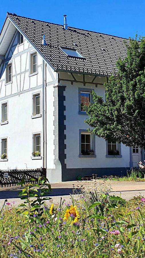 Apartment Kerbholz - Zwischen Suedschwarzwald Und Schweiz Griessen エクステリア 写真