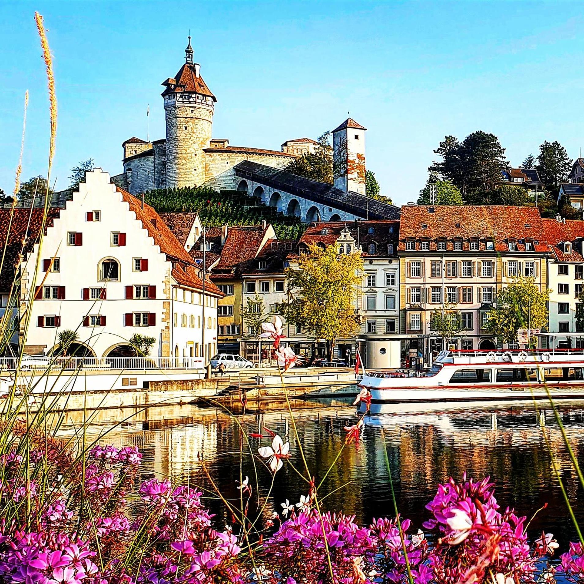 Apartment Kerbholz - Zwischen Suedschwarzwald Und Schweiz Griessen エクステリア 写真